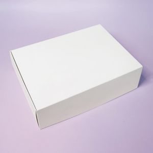 CAJA 24X18X7