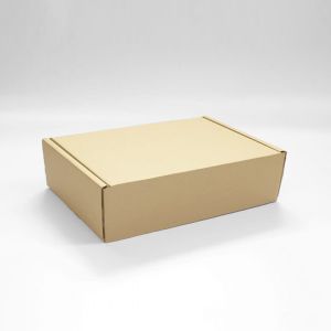 CAJA KRAFT 25X20X7