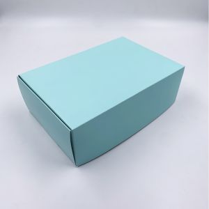 CAJA 21X14X7