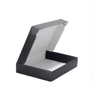 CAJA MICROCORRUGADO 30X20X5 cm