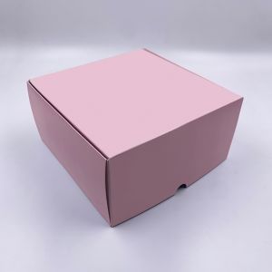 CAJA 20X20X10